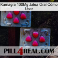 Kamagra 100Mg Jalea Oral Cómo Usar 14